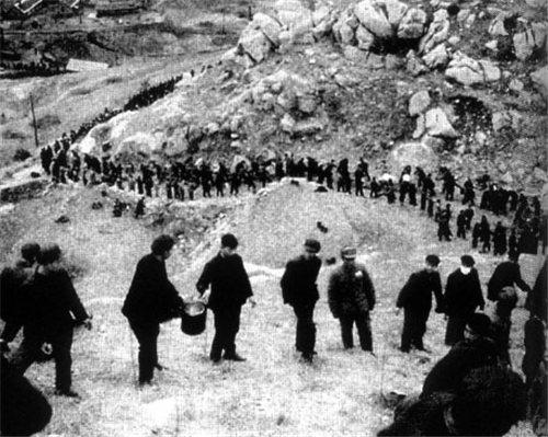 1959年，原山林场职工在小顶山植树。